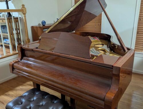 L190 6’3″ Estonia for sale